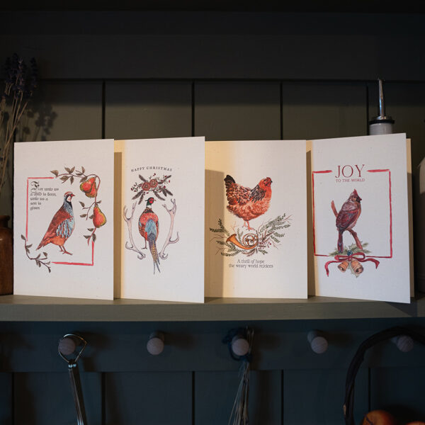 Christmas Card Variety Pack