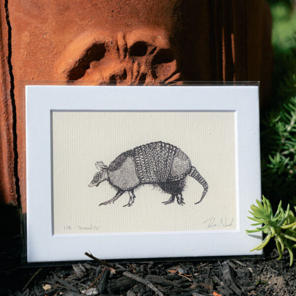 Armadillo Print