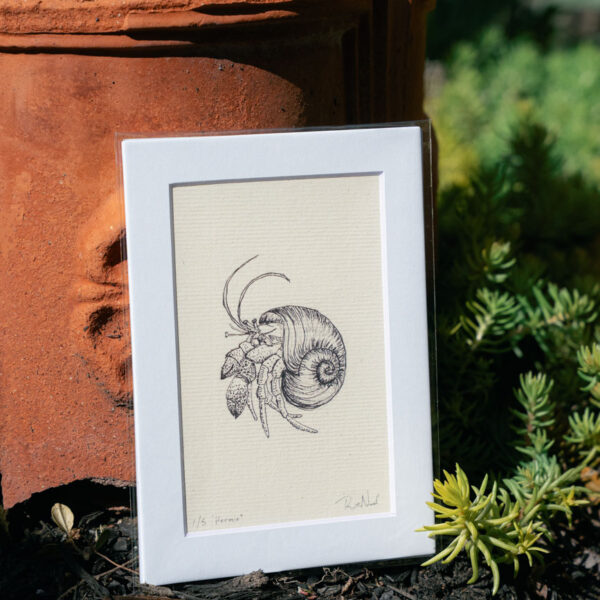 Hermit Print