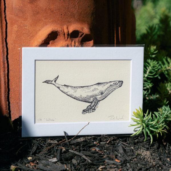 Whale Print