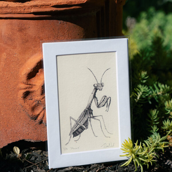 Mantis Print