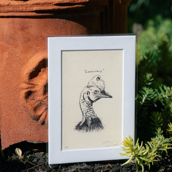 Cassowary Print