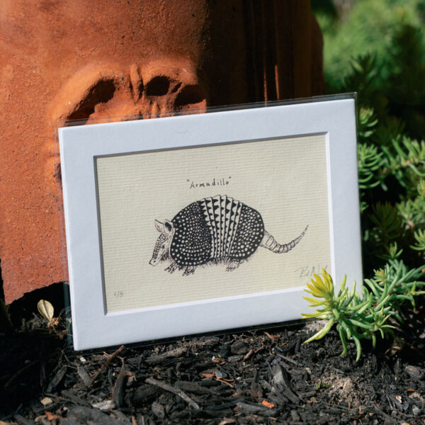 Armadillo II Print