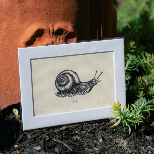 Snail Print
